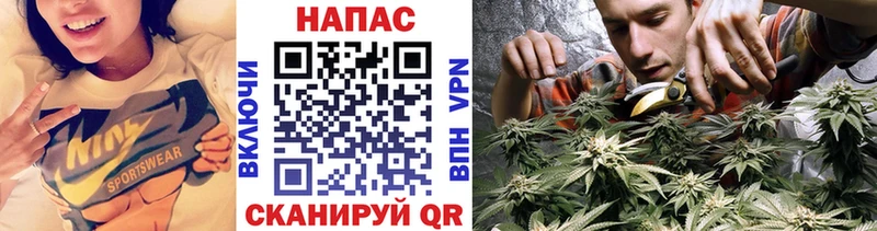 Как найти закладки Унеча Амфетамин Меф мяу мяу Галлюциногенные грибы Бошки Шишки