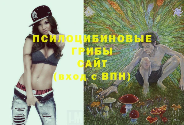 а пвп мука Балабаново