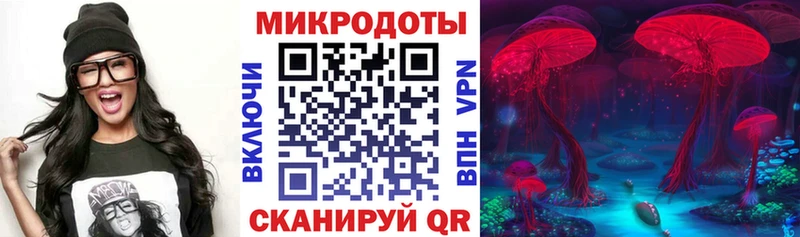 закладка  Унеча  Псилоцибиновые грибы Cubensis 